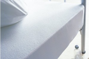Protect Your Home Against Bed Bugs