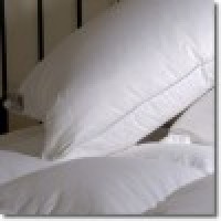 1000 Thread Count Pillow Cases